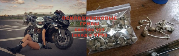винт Армянск